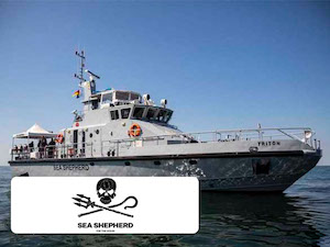 Timly bei Sea Shepherd