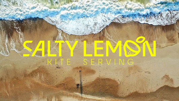 Salty Lemon use case logo