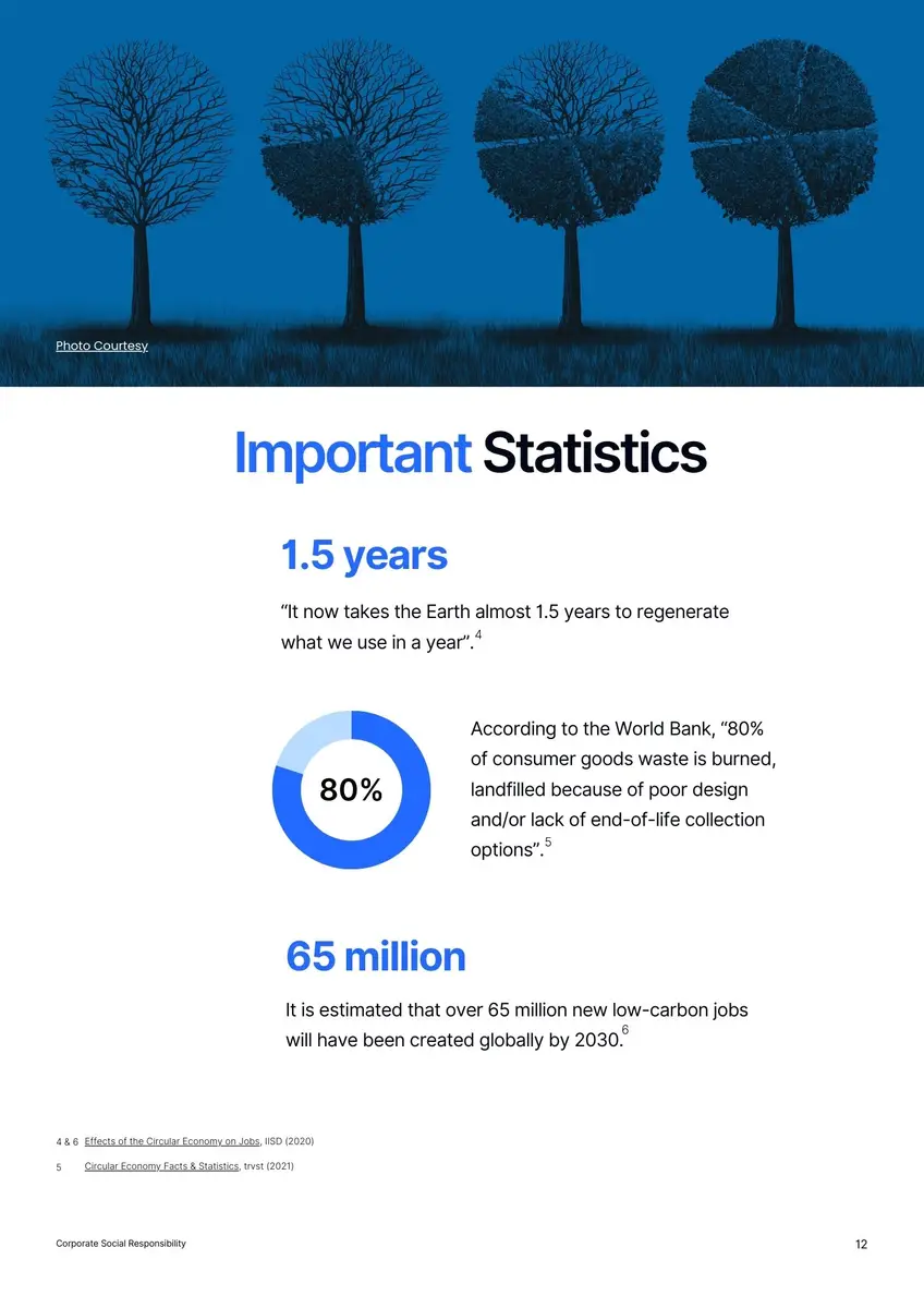 CSR White paper page 2