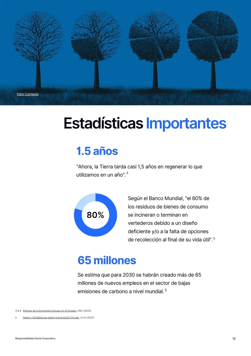página de contenido del informe de Timly sobre RSC