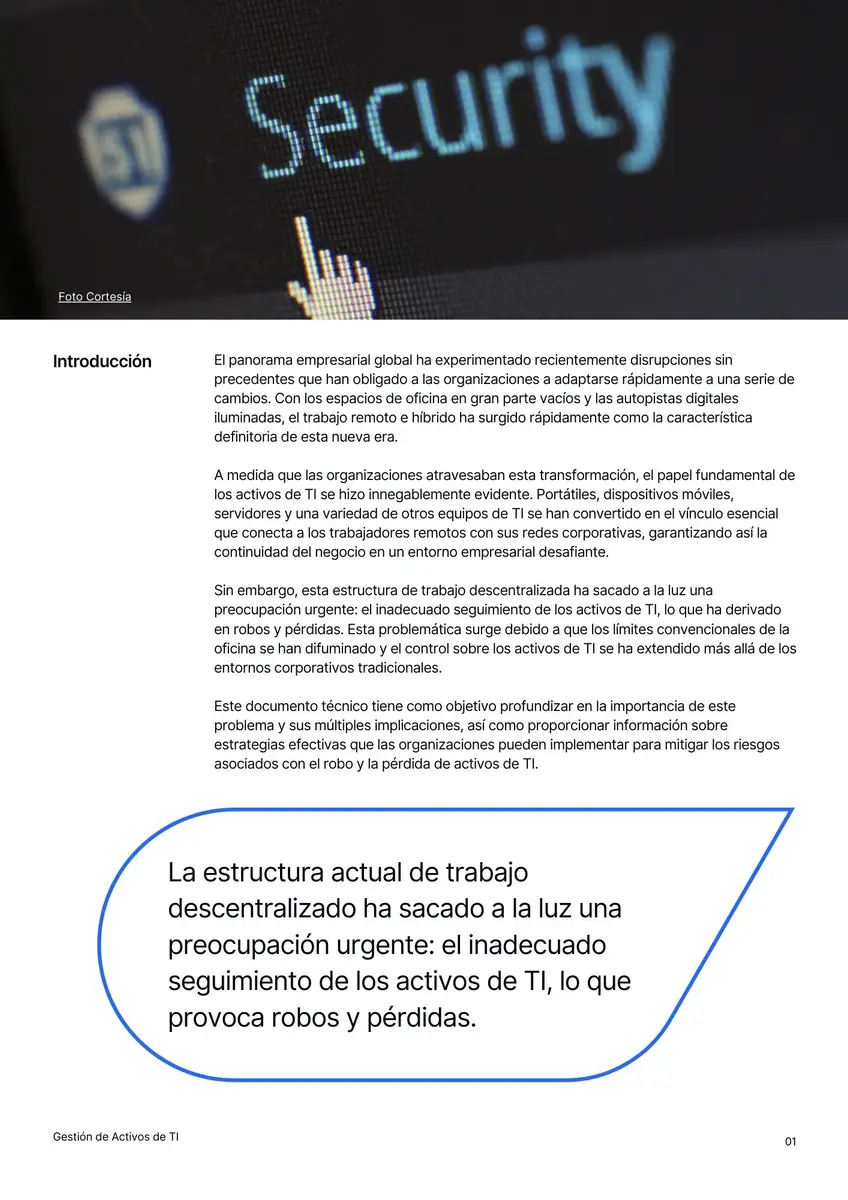 página de contenido del informe de gestión de activos TI de Timly
