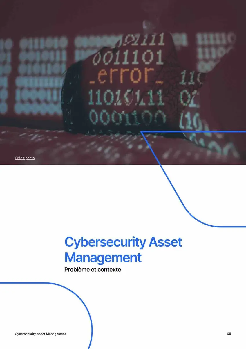 Livre blanc Timly sur le Cybersecurity Asset Management, extrait 2 page 08